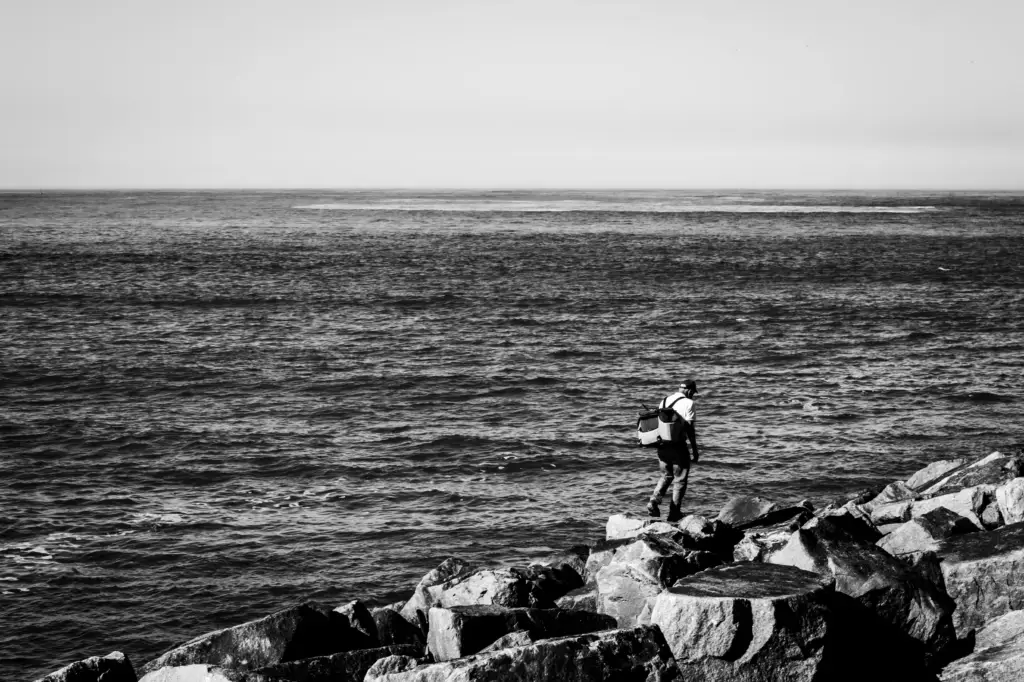 best family lawyer logan